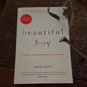 Beautiful Boy Book by David Sheff
